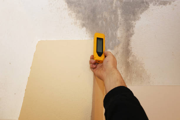 Mold Remediation for Vacation Homes in Bloomingburg, OH