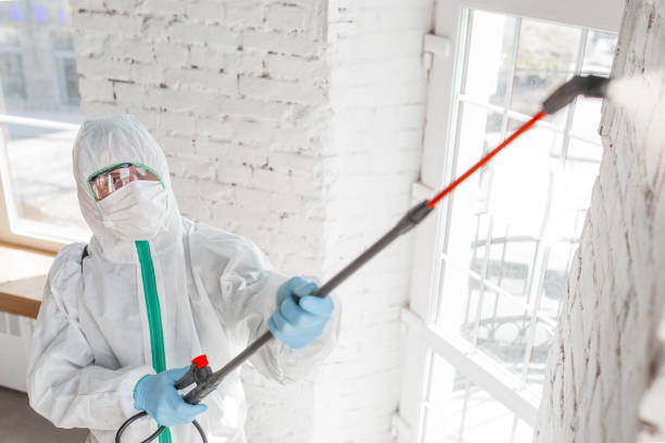 Best Mold Damage Restoration  in Bloomingburg, OH