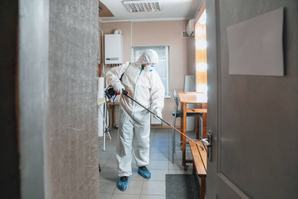 Best Environmental Consulting for Mold Prevention  in Bloomingburg, OH