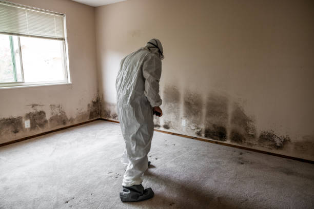 Best Residential Mold Inspection & Testing  in Bloomingburg, OH